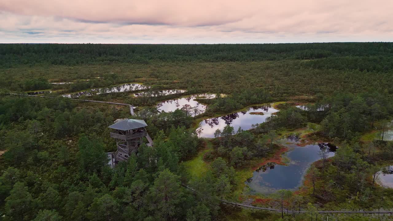 Viru Bog Estonia features a wooden viewpoint rising above reflective bog lakes pine forests and autumn moss offering visitors a panoramic perspective of this northern European wetland landscape