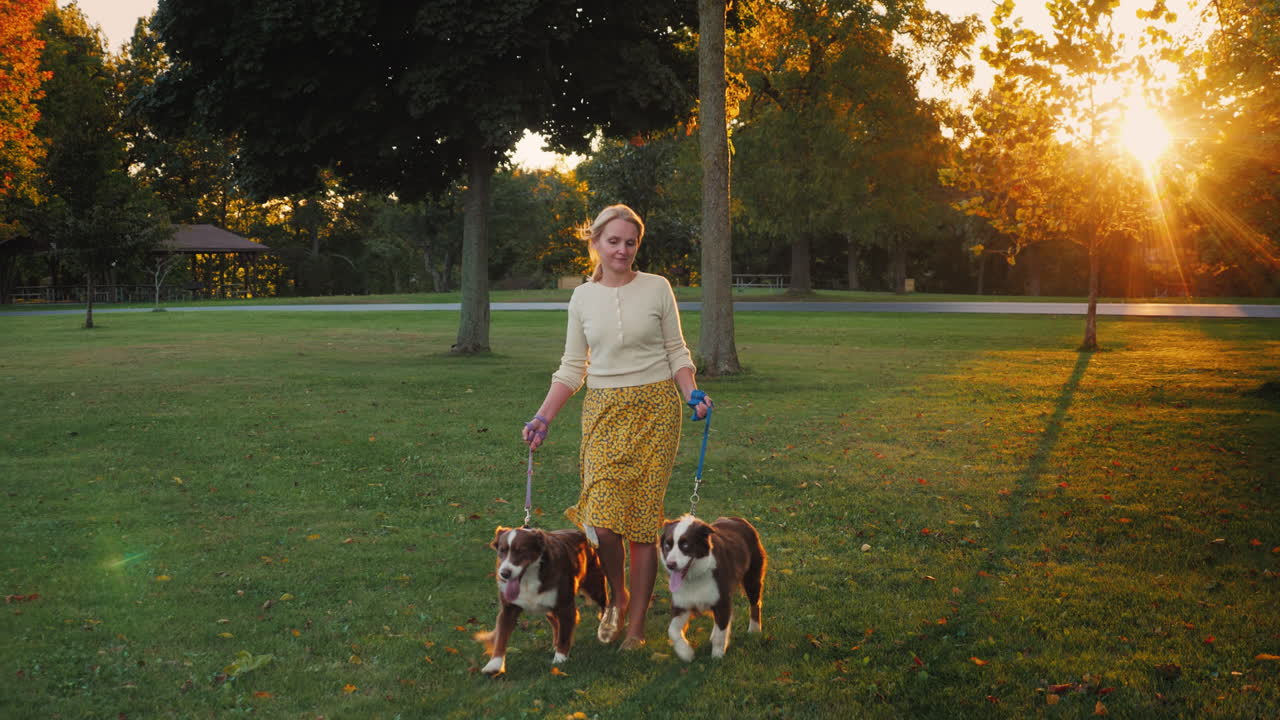 paseo de otoño en el parque con dos mascotas mujer paseando a sus perros
