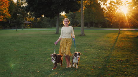 Herbstspaziergang-Im-Park-Mit-Zwei-Haustieren-Frau,-Die-Mit-Ihren-Hunden-Spazieren-Geht