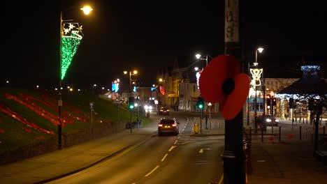 poppy in town centre with cars driving past at night time