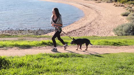 a person walking a dog by the beach