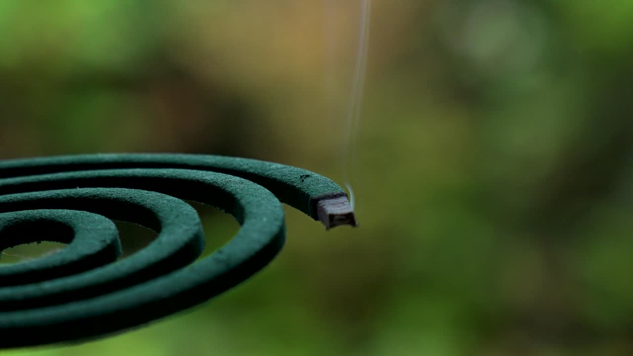 Burning green MOSQUITO COIL in Japanese house. Summer season concept video.