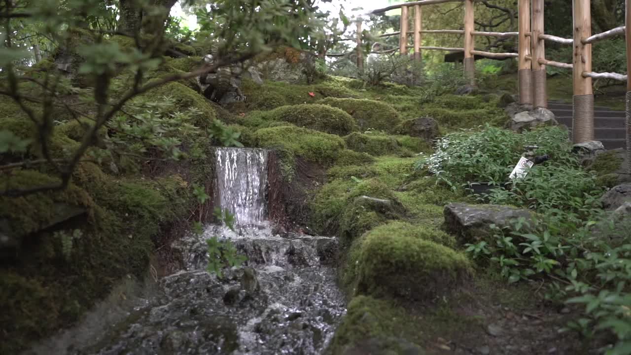tiro de seguimiento de una cascada y rocas cubiertas de musgo en un jardín japonés