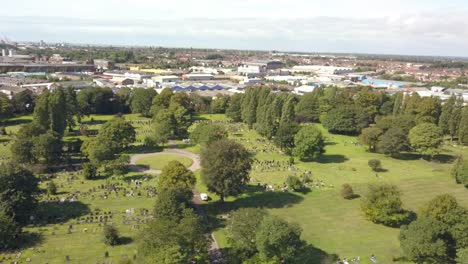 aerial views about trees uk