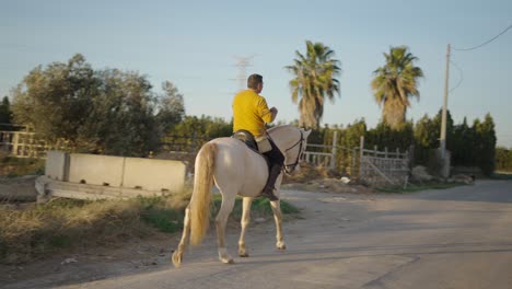 man riding a white horse in rural landscape
