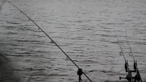 fishing rod´s on a riverbank
