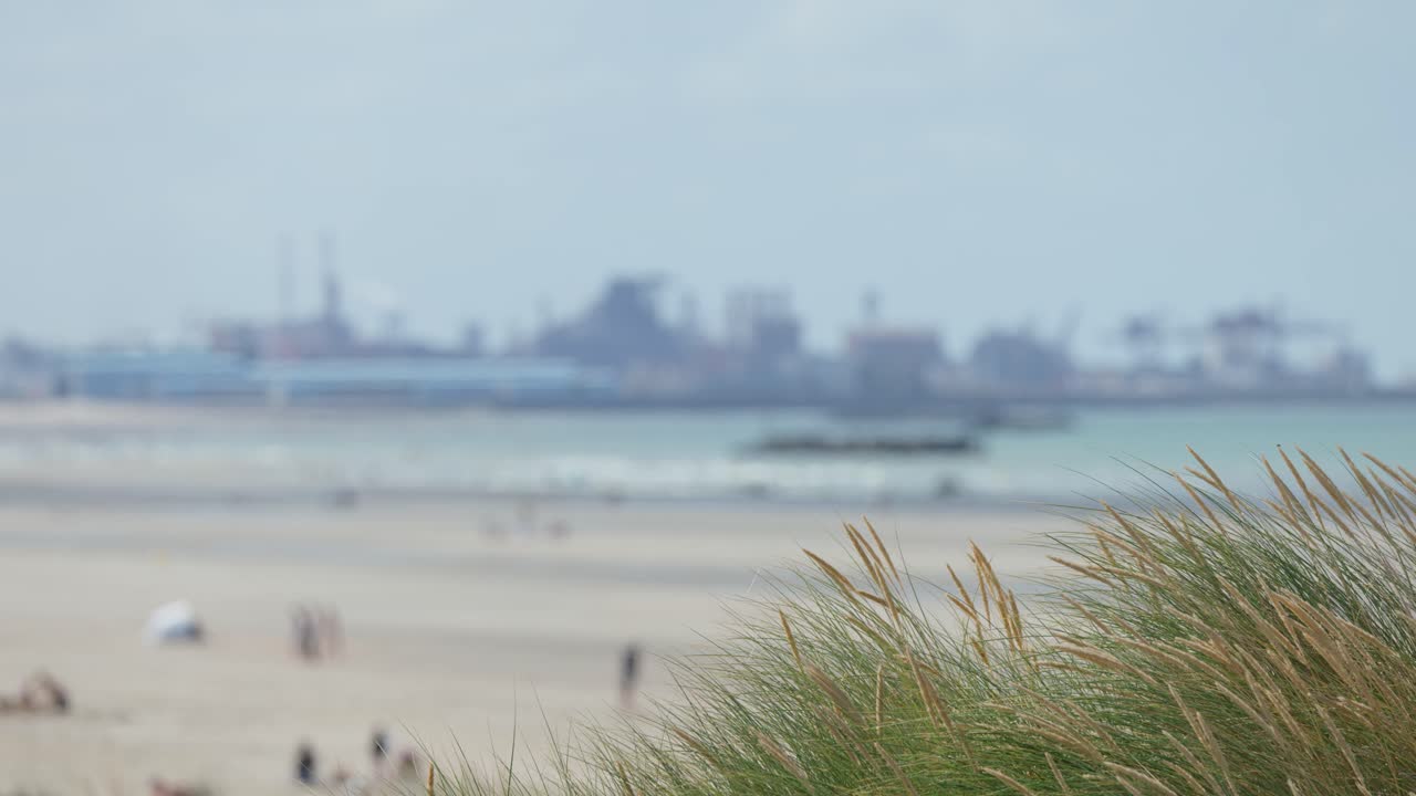 Tall grass sways in foreground, sandy beach and industrial port visible under soft daylight