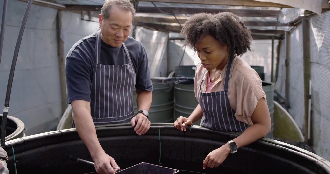 Diverse coworkers in striped aprons senior man demonstrating dip net with fish for check at tank