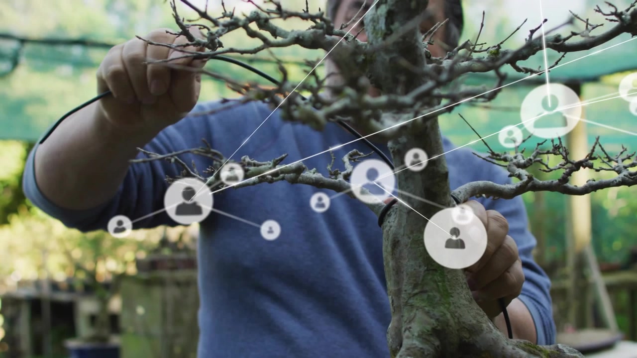 Giardiniere che fissa il filo e modella i rami di un bonsai per la stilizzazione, con una sovrapposizione di rete in crescita.