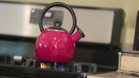 tea kettle heating up on a stove top