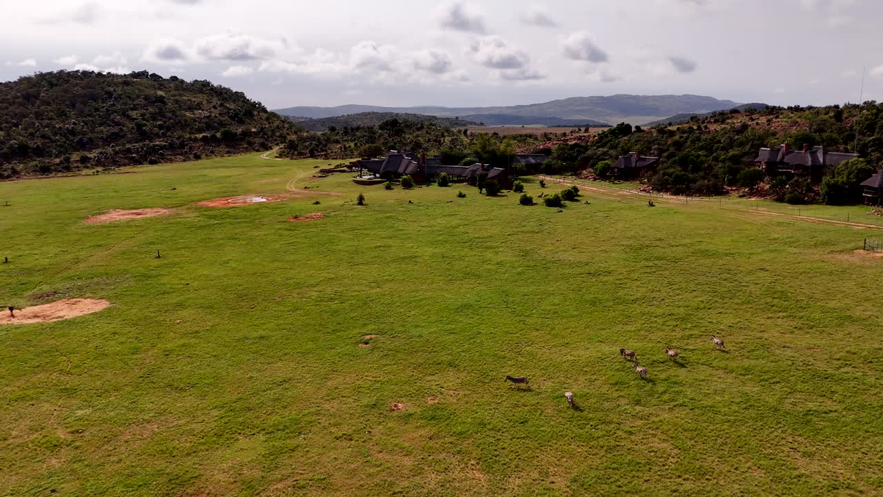 Zebras run across cinematic African landscape, luxury safari lodge in background