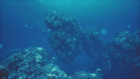 stunning underwater coral reef scene