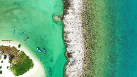 hermoso arrecife de coral y banco de arena con vegetación tropical en tailandia