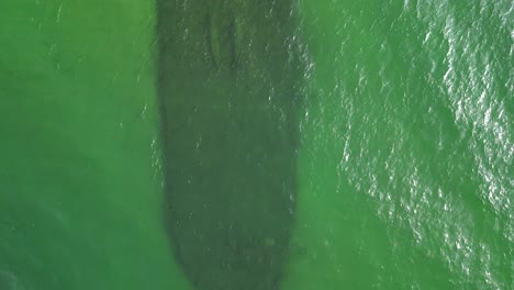 aerial topdown flyover old wooden shipwreck, lake superior, michigan