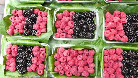 mixed berries display at a market