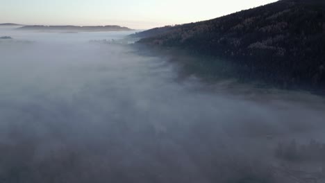 aerial view of misty landscape with fog enveloping a forested area during early morning