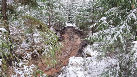 Snowy-off-road-trail-in-a-forest---aerial-push-though-the-pine-trees