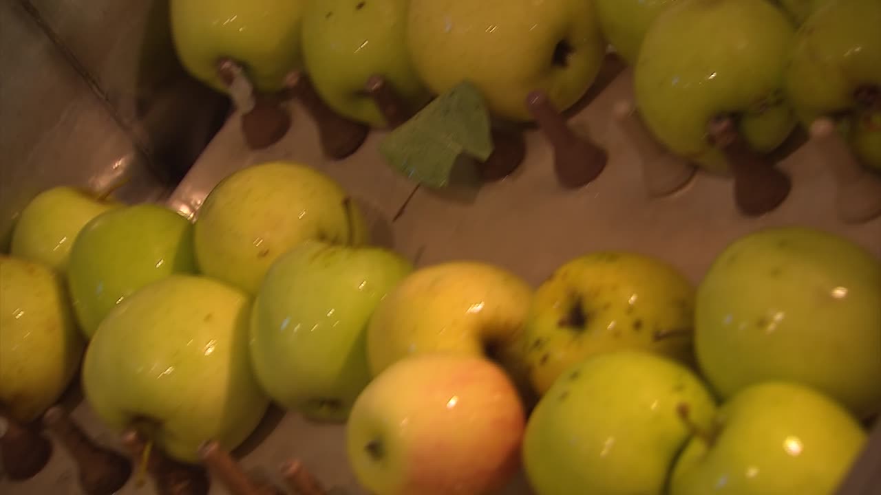 manzanas crudas subiendo por una cinta transportadora