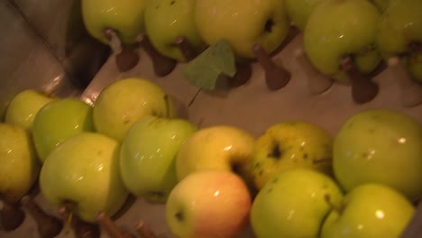 Manzanas-Crudas-Subiendo-Por-Una-Cinta-Transportadora