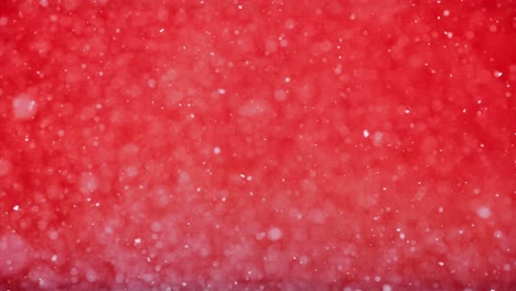gentle snowflakes drift through warm red light symbolizing joy and winter spirit