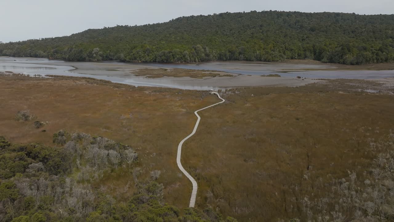 Tautuku Estuary wooden Walkway with river view in New Zealand, aerial