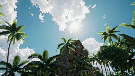 The video captures a lush tropical jungle with towering palm trees, evoking a serene, exotic
