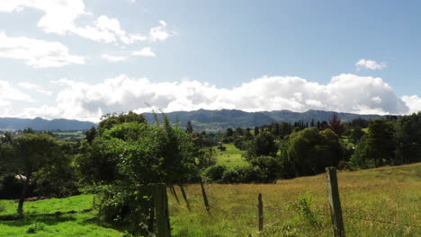 serene mountain landscape with lush green fields