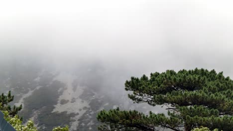경치 좋은 웨일즈 안개가 자욱한 변덕스러운 안개 분위기가 산악 시골을 휩쓸고 있습니다.