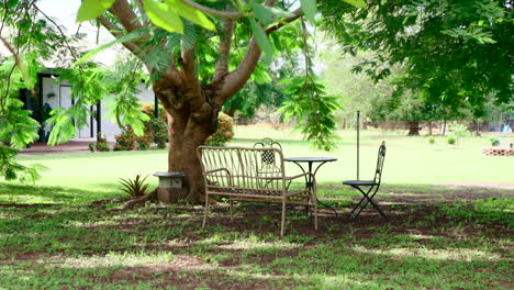 luxurious rural estate outdoor garden seating area underneath shade of tall bushy trees to relax from midday heat