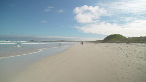 couple and child walking along beach in the distance on tortuga bay beach in santa cruz, galapagos. slow motion, pan right