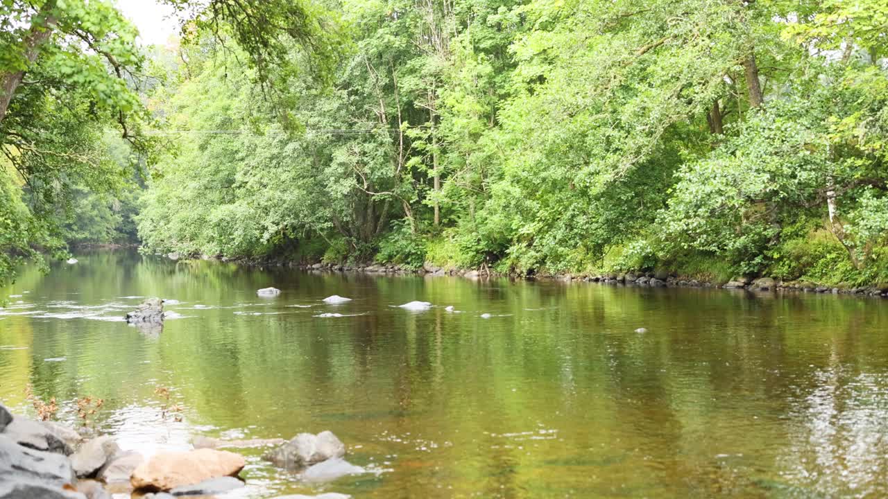 푸른 숲을 가로질러 흐르는 조용한 강