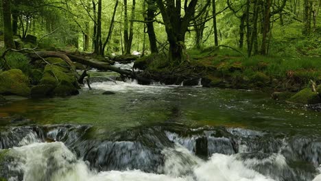 Rápidos-A-Lo-Largo-Del-Río-Fowey-Mientras-Fluye-A-Través-Del-Bosque