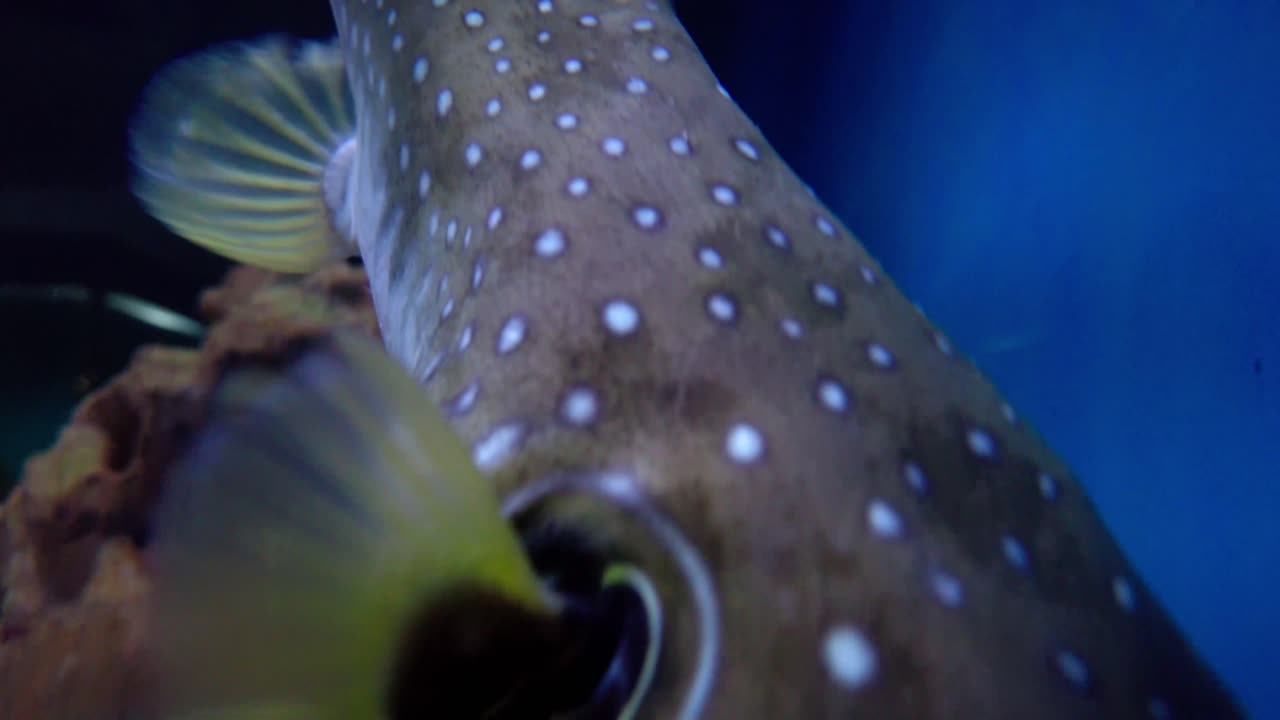 la mejor vista del pequeño liuqiu