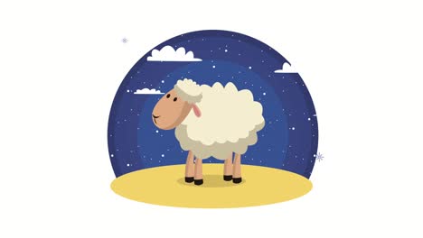cute sheep in the desert animation