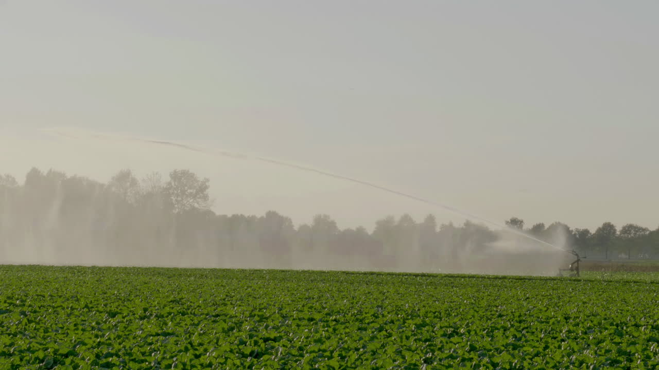 4K - Grande irrigatore che crea una cortina d'acqua sulle colture.