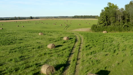 Country-road-on-field