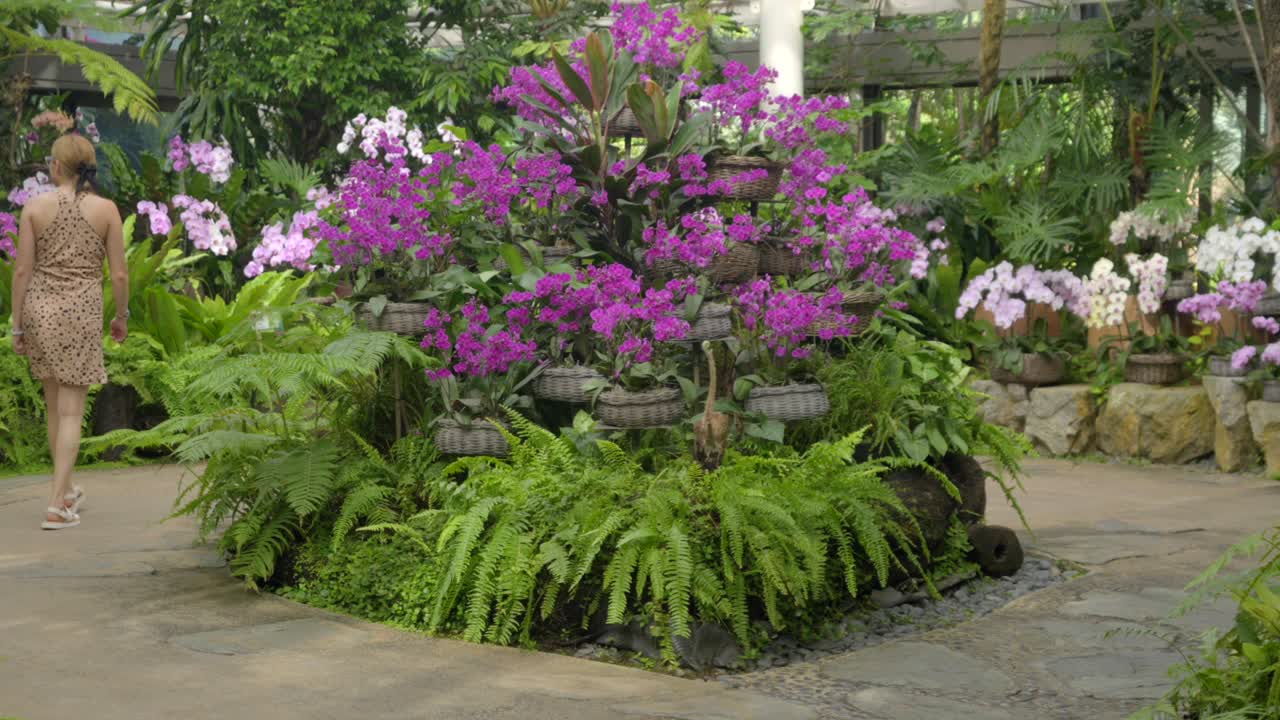 젊은 라틴 여성 관광객은 일본 오키나와 현 나하 열대 꿈 센터 내에서 오키디아와 꽃을 즐기고 있습니다.