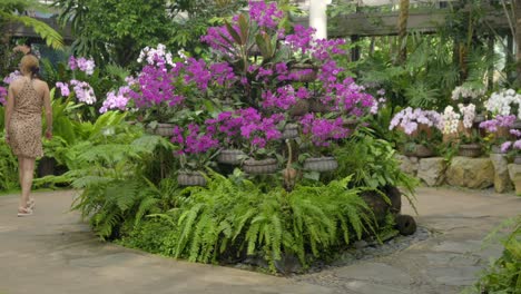 una joven turista latina disfruta caminando con orquídeas y flores dentro del centro de sueños tropicales prefectura de naha okinawa japón