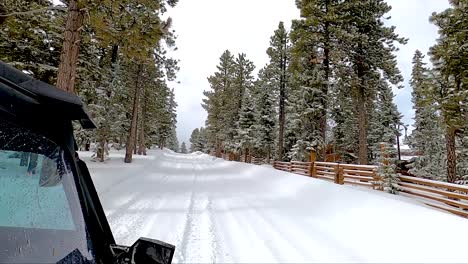 mountain cabin, snow-covered pine trees and rustic wooden fence