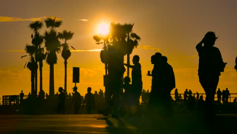 sunset stroll on the beach