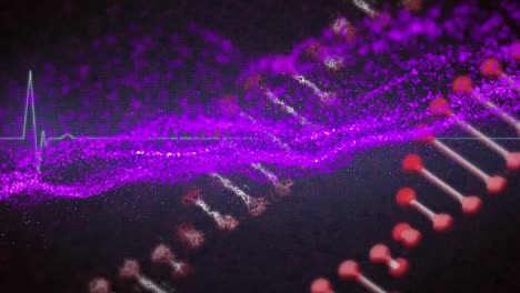 Animation-Eines-Abstrakten-Musters-über-DNA-Helixen-Und-Herzschlagrhythmus-Vor-Schwarzem-Hintergrund