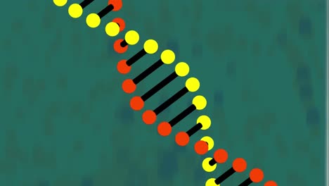 Animation-of-rotating-3d-model-dna-strand,-on-dark-green-background