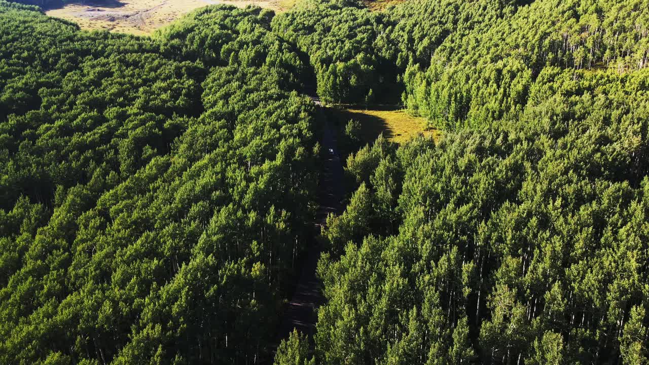 경비원 패스, 유타, 공중 드론 추적 차량 숲길을 통해 운전