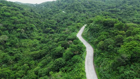 Aerial--Empty-lonely-road-in-mountainous-jungle-covered-with-trees