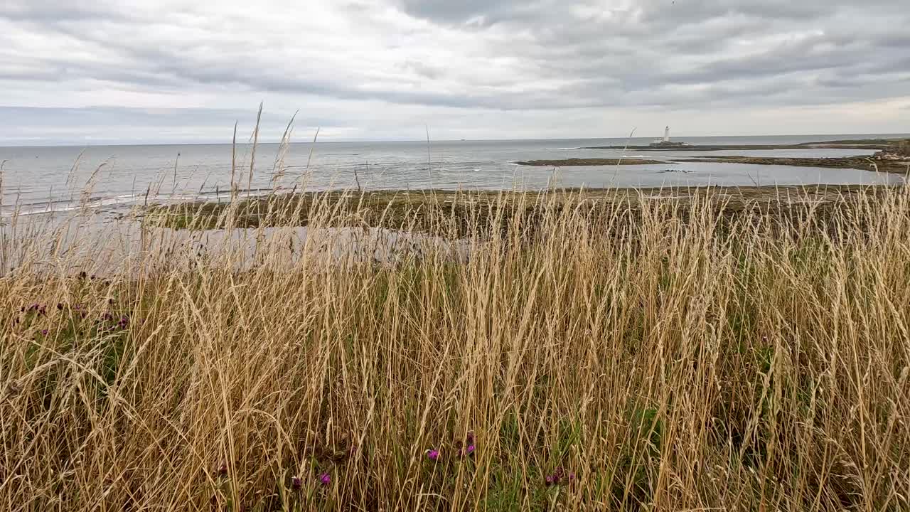 Camera slowly pans over tall coastal grass, revealing a distant lighthouse and shoreline under overcast skies with soft, natural daylight and steady movement