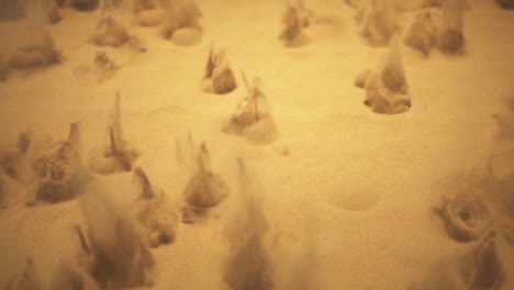 Science-and-physics-experiments-with-quicksand-volcanos