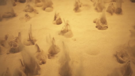 experimentos de ciencia y física con volcanes de arenas movedizas