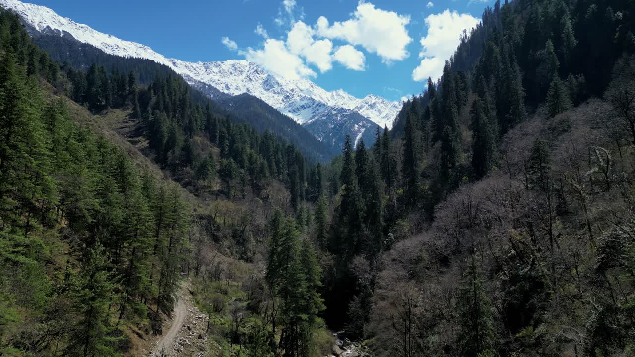 valle de parvati por avión no tripulado - hermoso paisaje de las montañas del himalaya indio - pinos con montaña nevada en el fondo - himachal pradesh - india