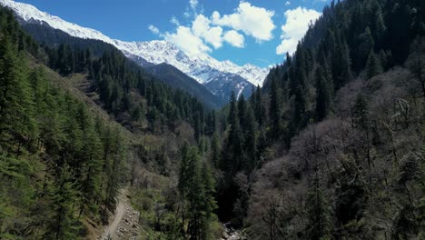 valle de parvati por avión no tripulado - hermoso paisaje de las montañas del himalaya indio - pinos con montaña nevada en el fondo - himachal pradesh - india