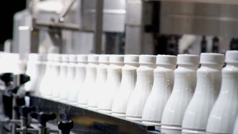 footage of white plastic milk bottles sorted at the production line and moving forward in a milk company